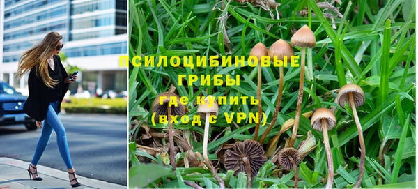 соль ск Белоозёрский
