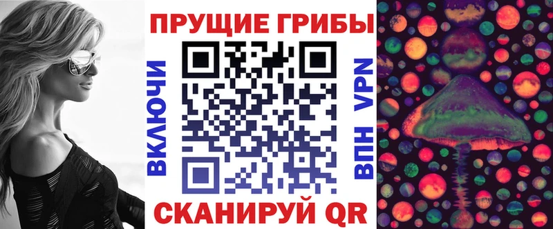 наркошоп  Сланцы  Псилоцибиновые грибы GOLDEN TEACHER 