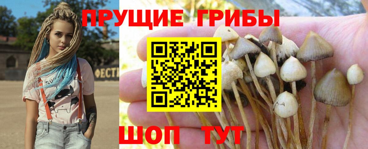 Галлюциногенные грибы мицелий Сланцы